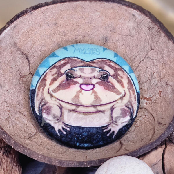 Desert Rain frog Desert Rain frog